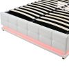 Tufted Upholstered Platform Bed with Hydraulic Storage System,Queen Size PU Storage Bed with LED Lights and USB charger, White