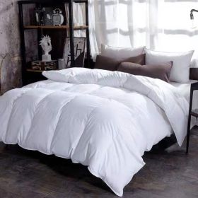 Down Duvet, Winter Duvet, Goose Down Duvet Core, Air Conditioner (Option: White-150x200cm-4)