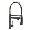 New Standard Single Handle kitchen faucet with pull-down kitchen faucet in Brushed Nickel