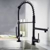 Kitchen Faucet with Pull Down Sprayer one-Hole Gooseneck Kitchen Sink Faucet 2 Handle