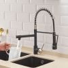 New Standard Single Handle kitchen faucet with pull-down kitchen faucet in Brushed Nickel