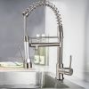 New Standard Single Handle kitchen faucet with pull-down kitchen faucet in Brushed Nickel