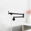 Wall Mounted Pot Filler Double Handle Kitchen Sink Faucet Folding Brass Swing Arm Modern Taps in Matte Black