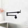 Wall Mounted Pot Filler Double Handle Kitchen Sink Faucet Folding Brass Swing Arm Modern Taps in Matte Black