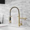 New Standard Single Handle kitchen faucet with pull-down kitchen faucet in Brushed Nickel