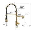 New Standard Single Handle kitchen faucet with pull-down kitchen faucet in Brushed Nickel