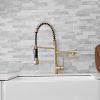 New Standard Single Handle kitchen faucet with pull-down kitchen faucet in Brushed Nickel