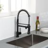 New Standard Single Handle kitchen faucet with pull-down kitchen faucet in Brushed Nickel