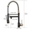 New Standard Single Handle kitchen faucet with pull-down kitchen faucet in Brushed Nickel