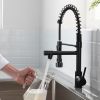 New Standard Single Handle kitchen faucet with pull-down kitchen faucet in Brushed Nickel