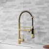 New Standard Single Handle kitchen faucet with pull-down kitchen faucet in Brushed Nickel