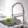 New Standard Single Handle kitchen faucet with pull-down kitchen faucet in Brushed Nickel