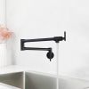 Wall Mounted Pot Filler Double Handle Kitchen Sink Faucet Folding Brass Swing Arm Modern Taps in Matte Black