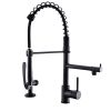 Kitchen Faucet with Pull Down Sprayer one-Hole Gooseneck Kitchen Sink Faucet 2 Handle