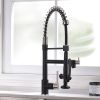 Kitchen Faucet with Pull Down Sprayer one-Hole Gooseneck Kitchen Sink Faucet 2 Handle