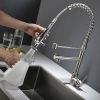 Kitchen Faucet with Pull Down Sprayer one-Hole Gooseneck Kitchen Sink Faucet 2 Handle