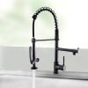 Kitchen Faucet with Pull Down Sprayer one-Hole Gooseneck Kitchen Sink Faucet 2 Handle